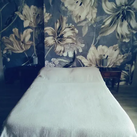 Les Coquillages בית נופש Essoyes